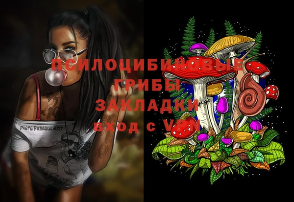 дживик Алексин