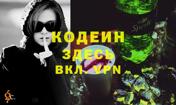 хмурый Алзамай