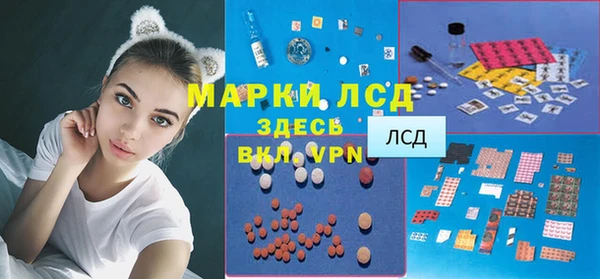 хмурый Алзамай