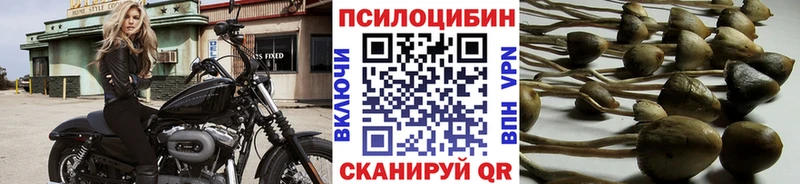 купить  сайты  Королёв  Псилоцибиновые грибы мухоморы 