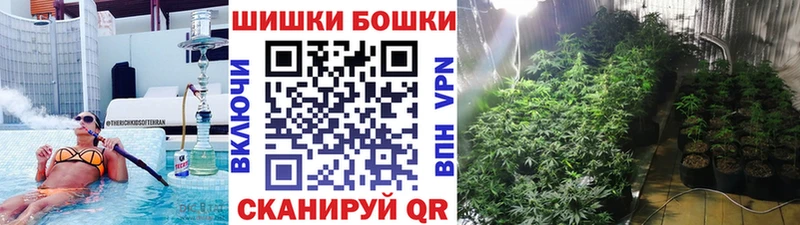 Бошки Шишки семена Королёв
